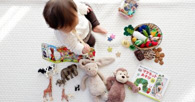Leksaker för små barn: Vad man bör tänka på när de utvecklas 